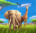 经典PG墨西哥狂欢APP:带你体验地道拉美狂欢乐趣(经典PG墨西哥狂欢APP)-第1张图片